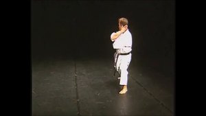 Хейан Нидан+Бункай в исполнении трёхкратного чемпиона мира/Heian Nidan