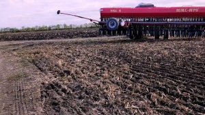 посев озимой пшеницы сорт,, граф,, сеялка ника -6