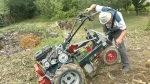 2021 УБОРКА РАННЕГО КАРТОФЕЛЯ