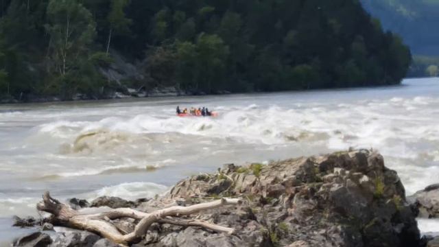 Порог Манжерок на бушующей Катуни. 18.06.2016. смотреть онлайн