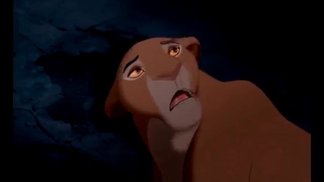 Король лев Приколы Очередь в аптеке смотреть онлайн