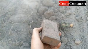 Минитрактор шифенг сф-240 копает картошку транспортерной копалкой (2 огород)