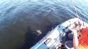 Поиск хищника / Рыбалка в Беларуси на спиннинг 2021 / озеро Лосвидо