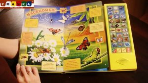 04261 Развивающая игрушка говорящая книжка Мир вокруг нас