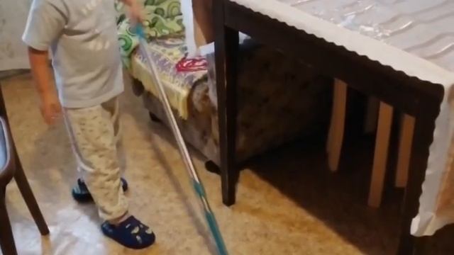 Когда хозяину нельзя мыть полы? Народные приметы
