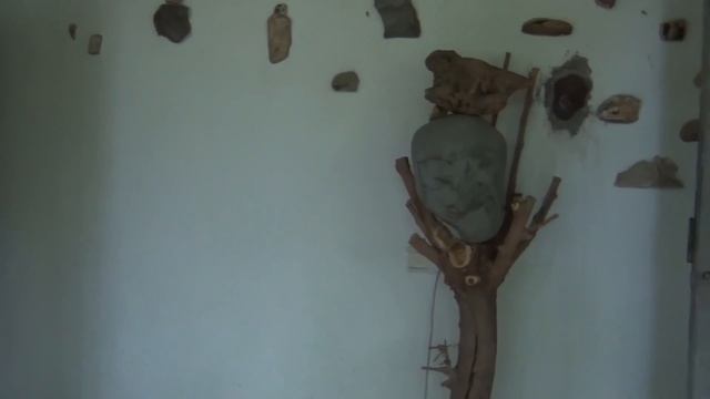 Wonders of nature(Чудеса природы) смотреть онлайн