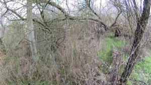 Крым. Связь. Мобильный Интернет в Крыму. Тест Крымтелеком.