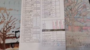 Оформленные работы. Дименшенс. Золотое руно. Процессы.