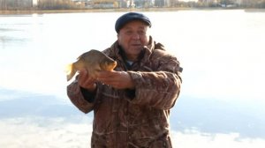 В нижневартовское озеро выпустили карасей для размножения