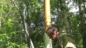 Как снять бересту длинной лентой
