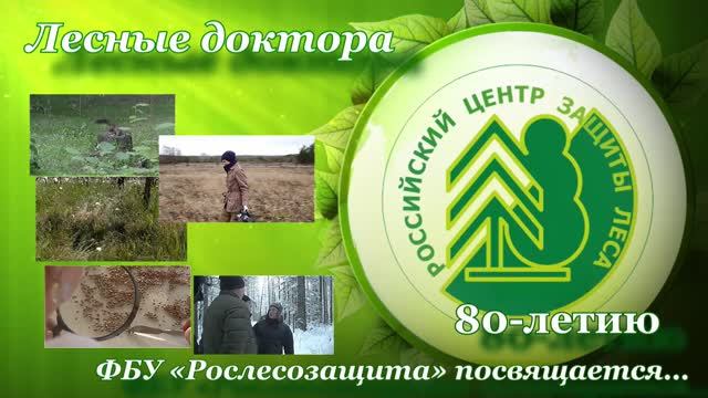 Рослесозащита пушкино. Фбу рослесозащита. Центр защиты леса красноярск. Центр защиты леса пушкино. Фбу рослесозащита.