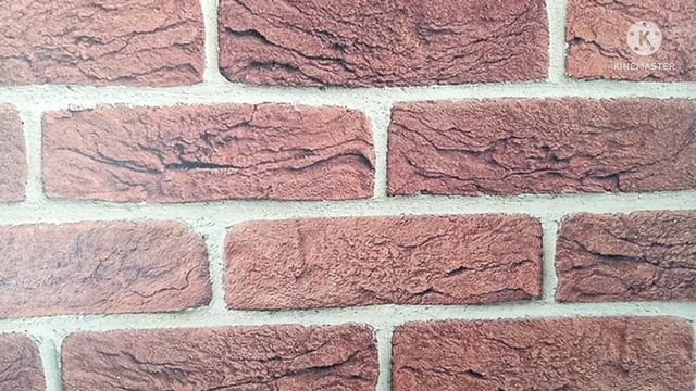 Норма и смысл жизни смотреть онлайн