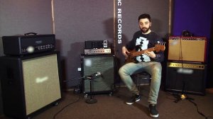 Electro-Harmonix The Mole