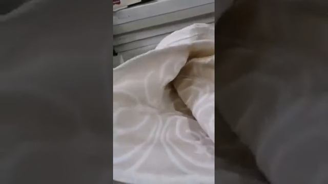 Новое поступление гобеленовых покрывал EFOR смотреть онлайн