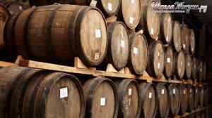 Как Правильно Пить Текилу