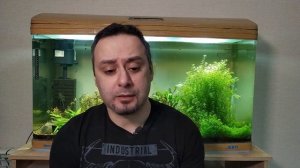 Еще немного о питании аквариумных растений