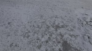 Авто Хамы Борзота