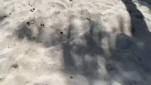 МАЛЬДИВЫ. VILLA PARK MALDIVES.(ex.SUN ISLAND RESORT AND SPA.)ПЕРЕСЕЛЯЕМСЯ НА ПЛЯЖНУЮ ВИЛЛУ.