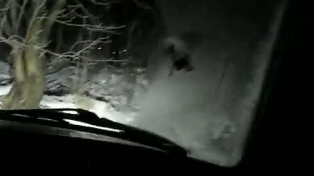 Барские пруды во Фрязино, Щелково