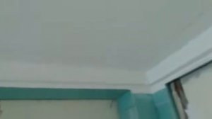 Монтаж потолков из ГКЛВ с подсветкой и гипсовой лепниной за неделю с братом под ключ 2019 г.