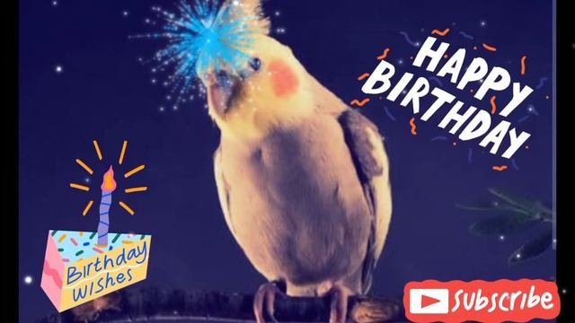 Cockatiel Song 