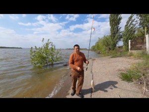 Беженцы из Мариуполя в России - Получили посылку из Сочи - Рыбалка в Астрахани - Наш виноградник