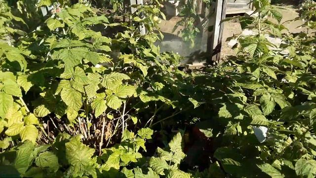 Малина Просто Супер! смотреть онлайн