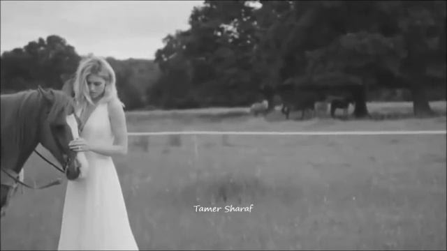 Dark Eyes - Russian Gypsy Music - Mandolin , Violin & Accordion смотреть онлайн