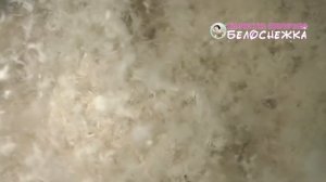 Химчистка "Белсонежка" г. Калуга. Сухая чистка пуховых подушек с заменой наперника.