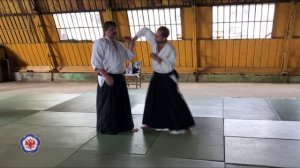 Николай Егоров, 6 дан айкидо Айкикай. Вход иккё, никкё, санкё, ёнкё. Летняя Школа ФАР 2020.