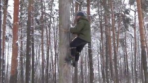 Самодельное приспособление для лазанья по деревьям