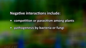 Adaptations of roots for reproduction and interaction with microbes .mp4