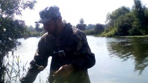 Рыбалка на Озере Кривое. Донка VS Убийца карася.