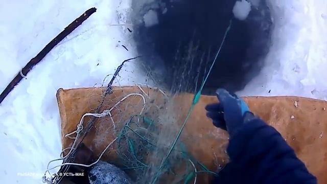 РЫБАЛКА!!! ЯКУТИЯ РЕКА АЛДАН №6 !!! ПРОВЕРКА НОВОГО ПЕРЕМЕТА!!! 2021-2022
