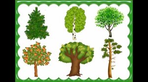 Логопедическая игра  Назови одним словом  обобщающие понятия