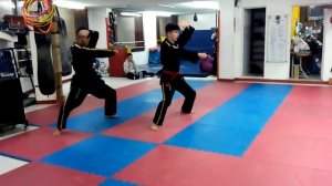 Programa Hapkido Cinturón Verde (Forma a Mano Vacía )