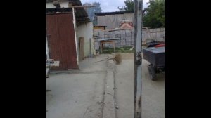 большой  гараж своими руками