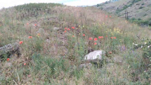 Вместе весело шагать по просторам смотреть онлайн