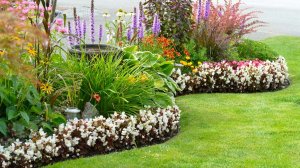 ?Прекрасные идеи для оформления приусадебного участка / Ideas for a beautiful garden / A - Video
