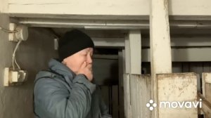 Кормлю котных козочек//