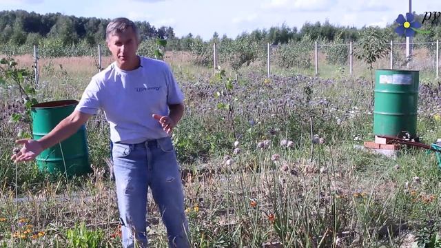 Копай чеснок, когда стоит! смотреть онлайн