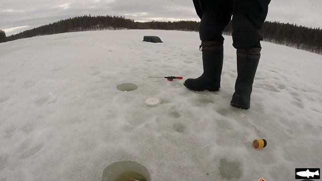 Плотва со льда. Мурманская область. смотреть онлайн