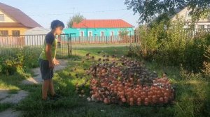 О ужас я сломал я сломал машину