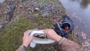 река Никишиха.ловля хариуса на верховую снасть