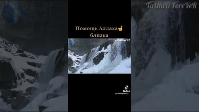 Помощь Аллаха ☝️ близка...#islam #истина #таухид #сунна #пророкмухаммадﷺ #ад #судныйдень смотреть онлайн