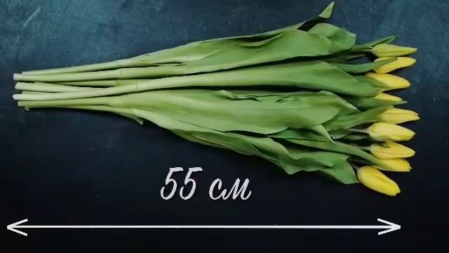 Тюльпаны оптом к 8 Марата от производителя. Компания #Аагонь тюльпаны.