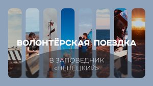 Волонтёрская поездка в заповедник «Ненецкий»