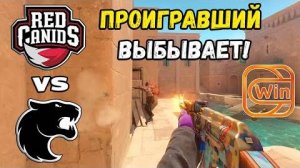 ПОСЛЕДНИЙ ШАНС! RED Canids vs FURIA - ХАЙЛАЙТЫ - ESL Pro League Season 20 | КС2