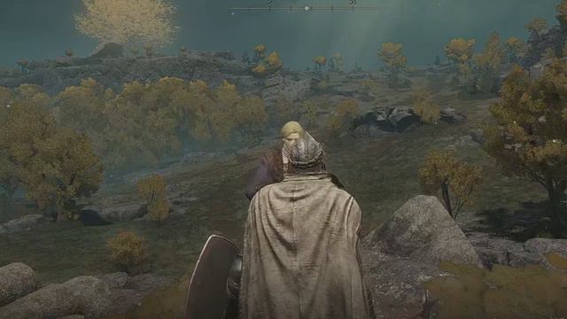 ЧЁ ТАМ ПО Elden Ring ЧАСТЬ 1 Прохождение смотреть онлайн