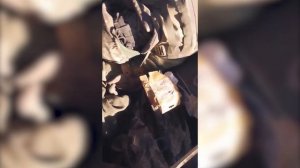 Кадры уничтоженной техники ВСУ